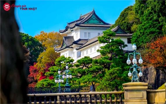 [HCM] Tour Nhật Bản Thiết Kế 6N5Đ: Hành Trình Vàng Mùa Thu 2025